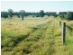 Lot 302 Leichhardt Highway, Miles QLD 4415