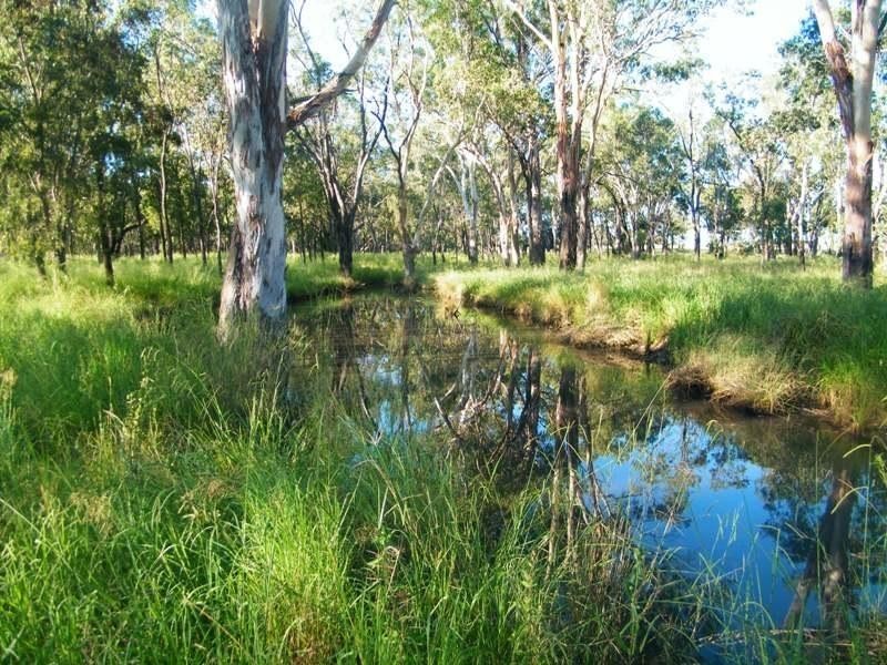 Lot 302 Leichhardt Highway, Miles QLD 4415