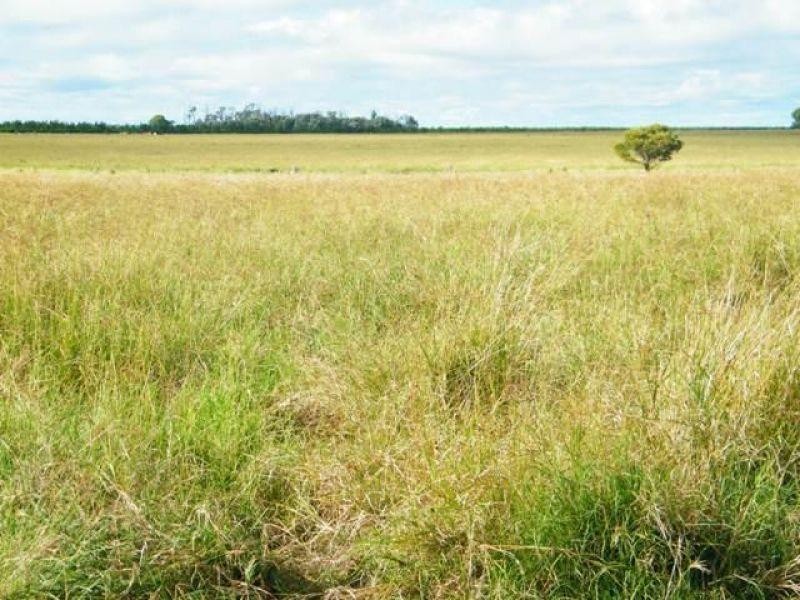 104 Mullers Road, Chinchilla QLD 4413