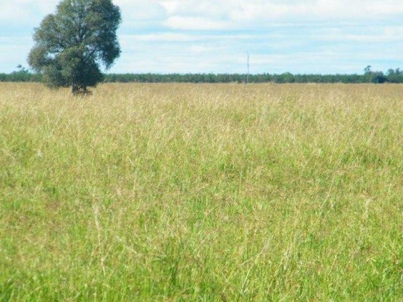 104 Mullers Road, Chinchilla QLD 4413