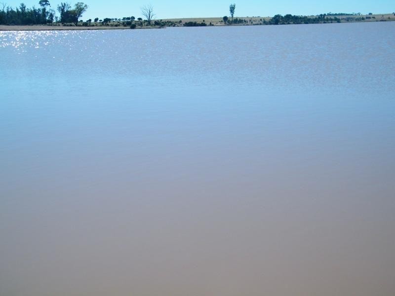 1958 Kogan-Condamine Highway, Hopeland QLD 4413