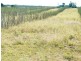 1958 Kogan-Condamine Highway, Hopeland QLD 4413