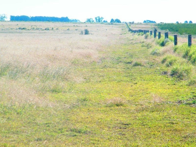 1958 Kogan-Condamine Highway, Hopeland QLD 4413