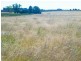 1958 Kogan-Condamine Highway, Hopeland QLD 4413