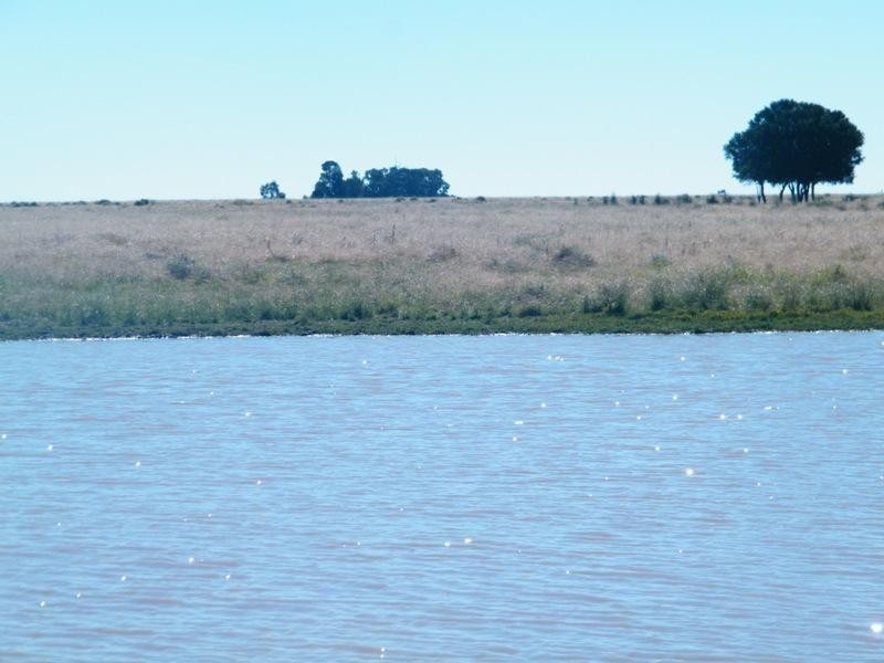 1958 Kogan-Condamine Highway, Hopeland QLD 4413