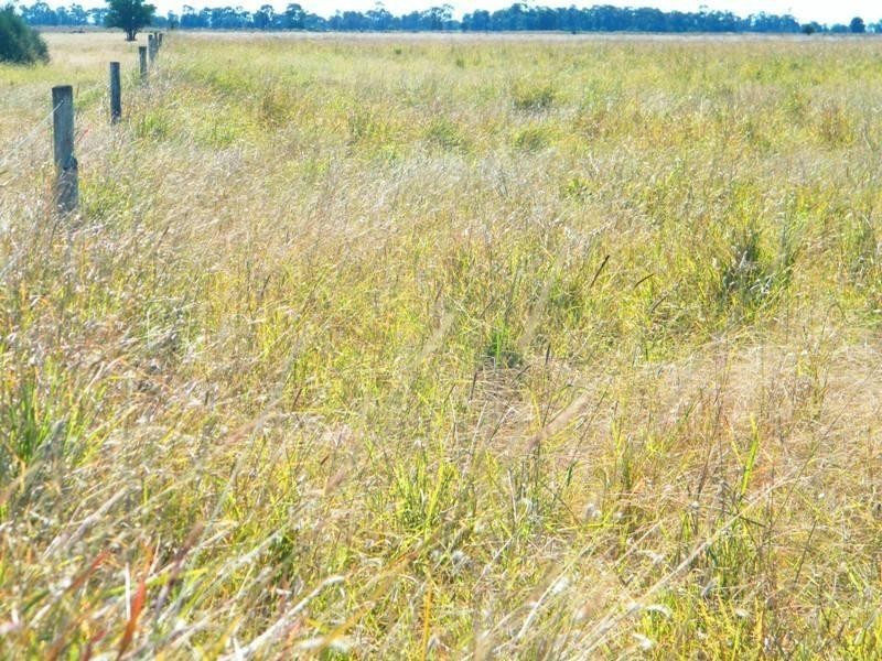 1958 Kogan-Condamine Highway, Hopeland QLD 4413