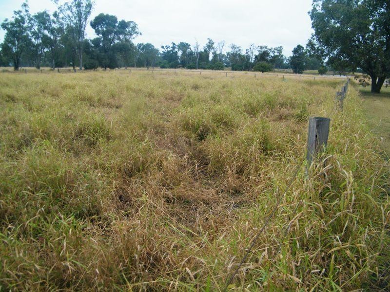 544 Chances Plain Road, Chinchilla QLD 4413