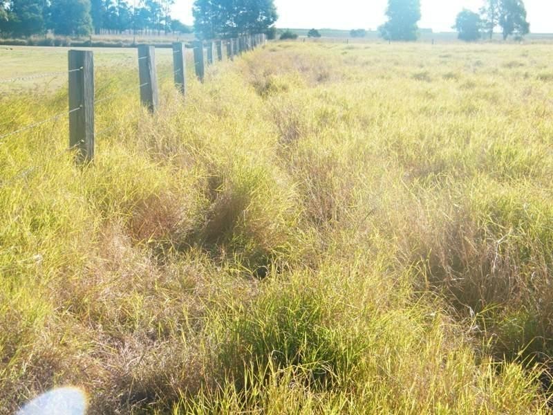 544 Chances Plain Road, Chinchilla QLD 4413