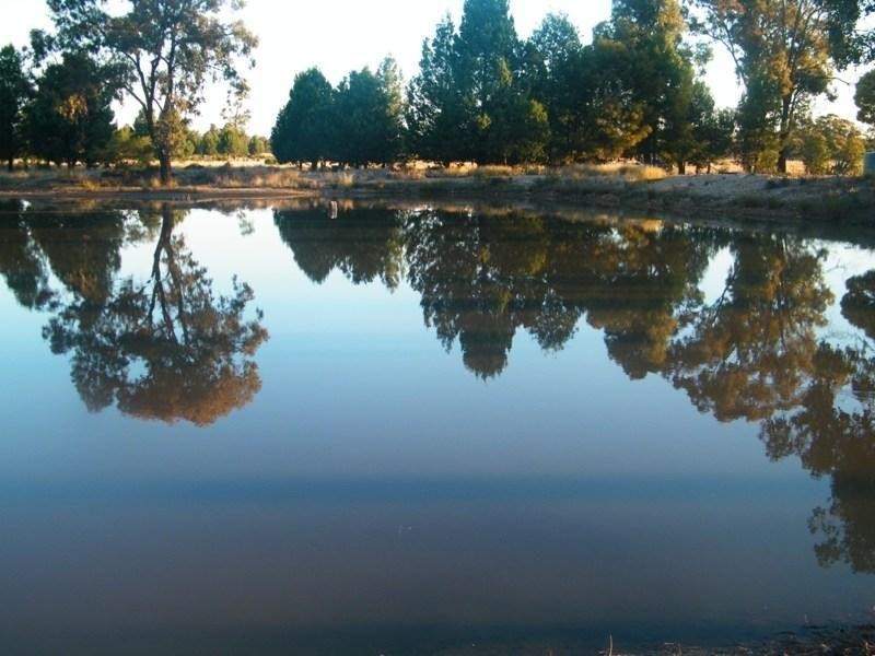 1012 Tara-Kogan Road, Tara QLD 4421