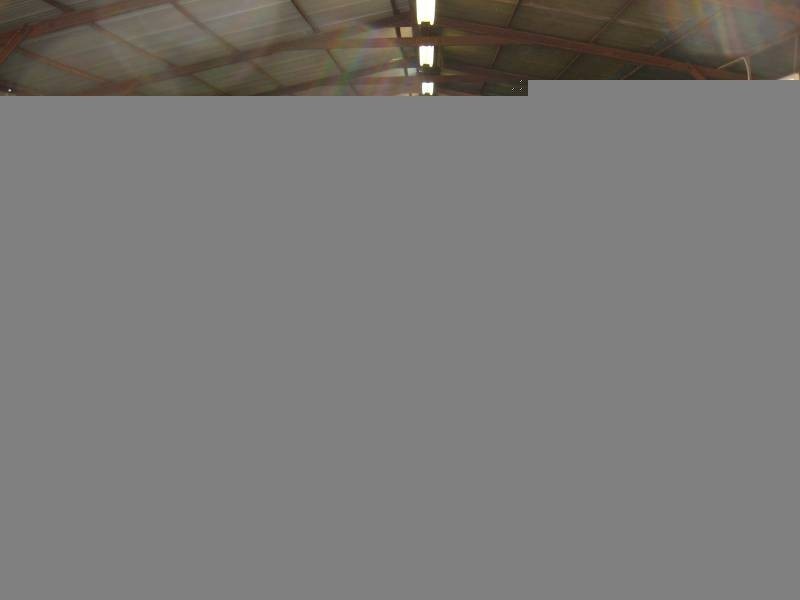 351 Windmill Rd, Chinchilla QLD 4413