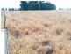 Yulabilla Road, Condamine QLD 4416
