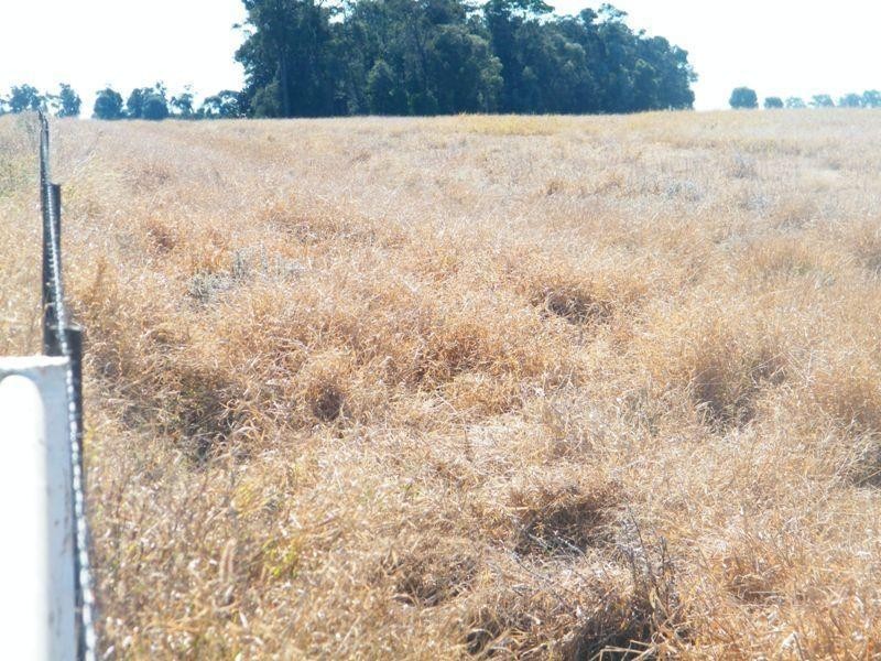 Yulabilla Road, Condamine QLD 4416
