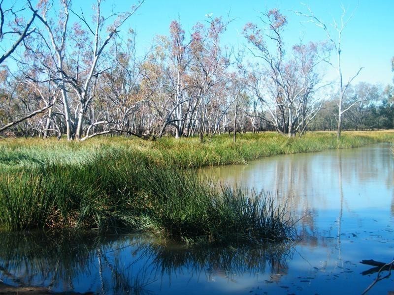Yulabilla Road, Condamine QLD 4416
