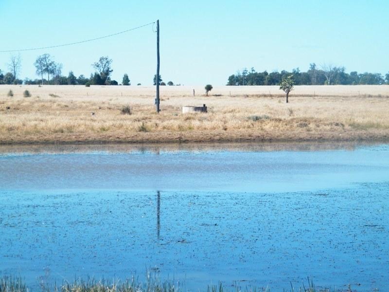 Yulabilla Road, Condamine QLD 4416