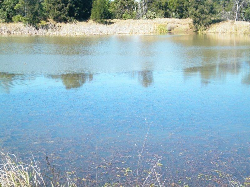 Yulabilla Road, Condamine QLD 4416