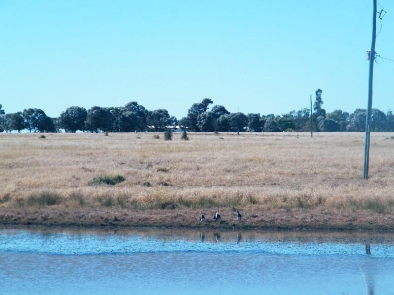 Yulabilla Road, Condamine QLD 4416