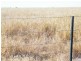 Yulabilla Road, Condamine QLD 4416