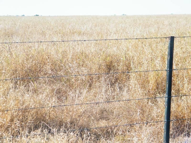 Yulabilla Road, Condamine QLD 4416