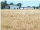 Yulabilla Road, Condamine QLD 4416