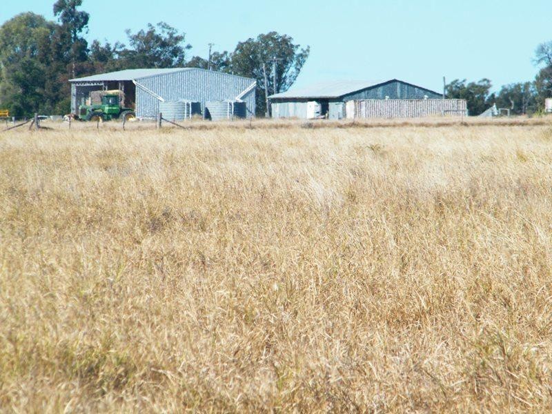 Yulabilla Road, Condamine QLD 4416