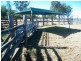 Yulabilla Road, Condamine QLD 4416