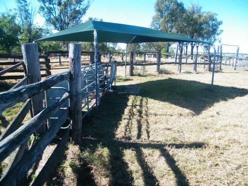 Yulabilla Road, Condamine QLD 4416