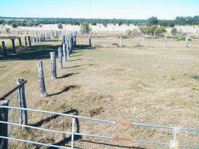 Yulabilla Road, Condamine QLD 4416