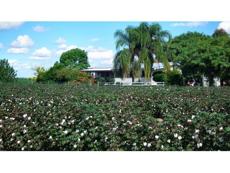 Lot Chances Plains Road, Chinchilla QLD 4413