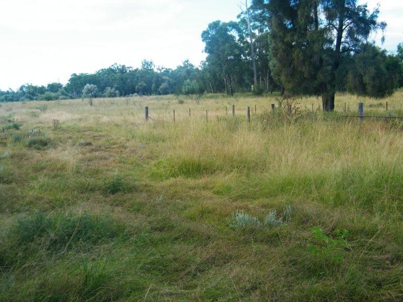 658 Mount Myrtle Road, Kowguran QLD 4415