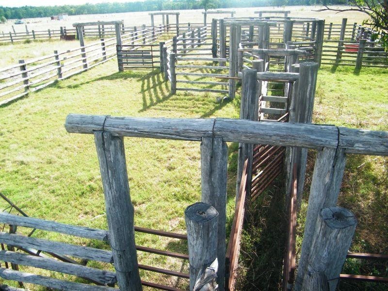 658 Mount Myrtle Road, Kowguran QLD 4415