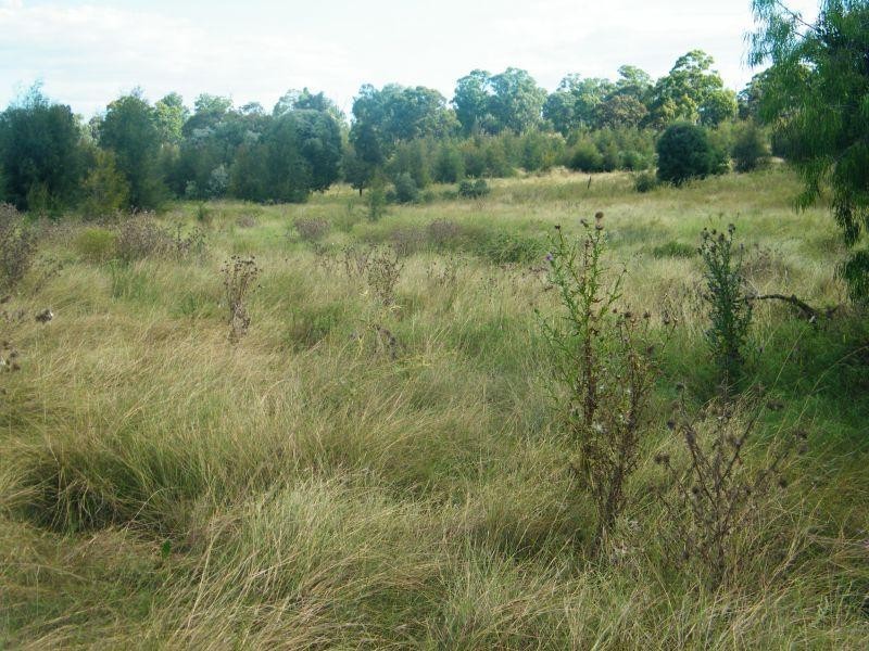 658 Mount Myrtle Road, Kowguran QLD 4415