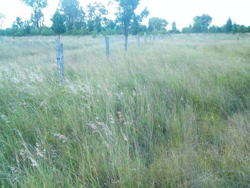 658 Mount Myrtle Road, Kowguran QLD 4415