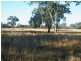 Lot 22 Racecourse Road, Chinchilla QLD 4413