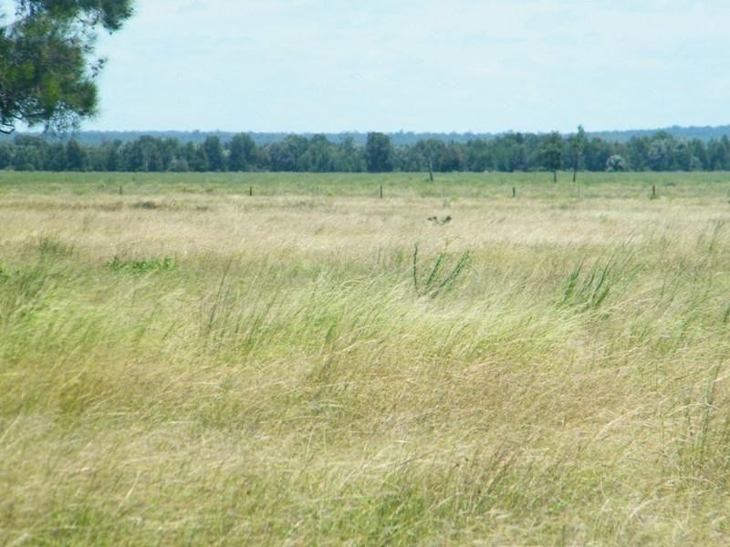 687 Cameby Road, Chinchilla QLD 4413