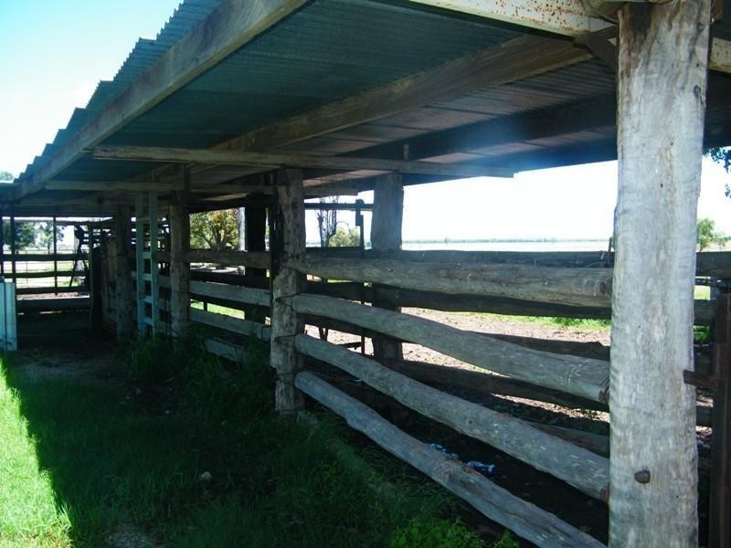 687 Cameby Road, Chinchilla QLD 4413