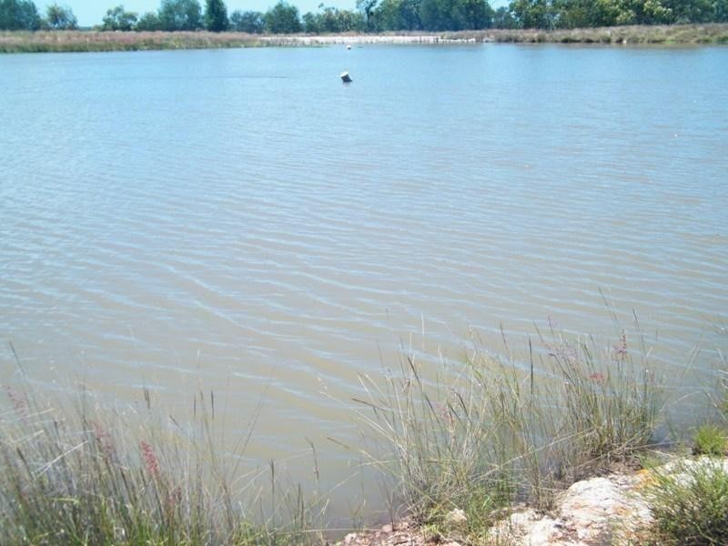 687 Cameby Road, Chinchilla QLD 4413