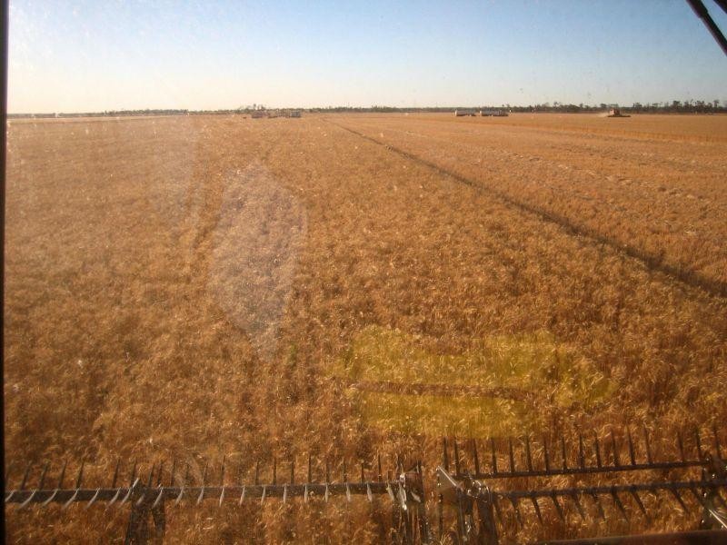 Lot 38 Chances Plains Road, Chinchilla QLD 4413