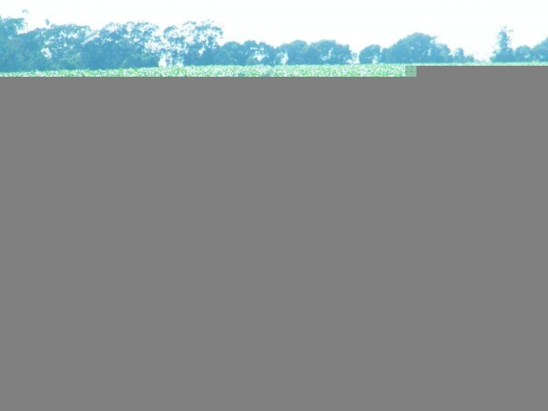 Chances Plains Road, Chinchilla QLD 4413