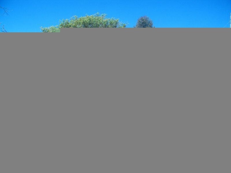 Chances Plains Road, Chinchilla QLD 4413