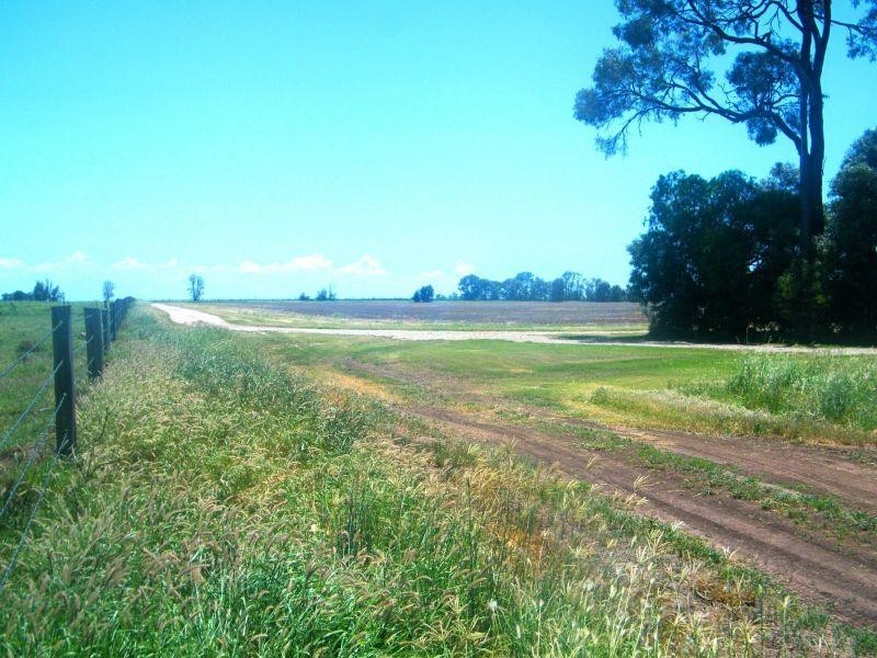 Chances Plains Road, Chinchilla QLD 4413