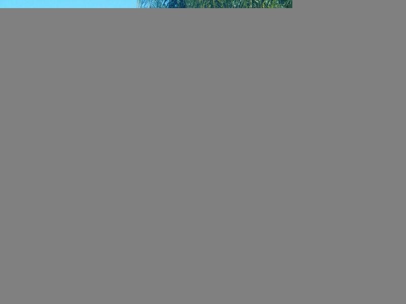 Chances Plains Road, Chinchilla QLD 4413