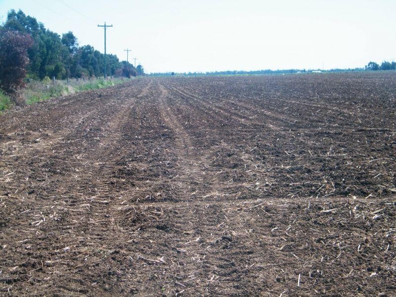 Brigalow Canaga Creek Road, Brigalow QLD 4412