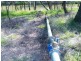 Condamine-Meandarra Road, Condamine QLD 4416