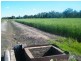 Condamine-Meandarra Road, Condamine QLD 4416