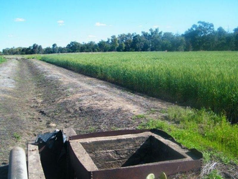 Condamine-Meandarra Road, Condamine QLD 4416