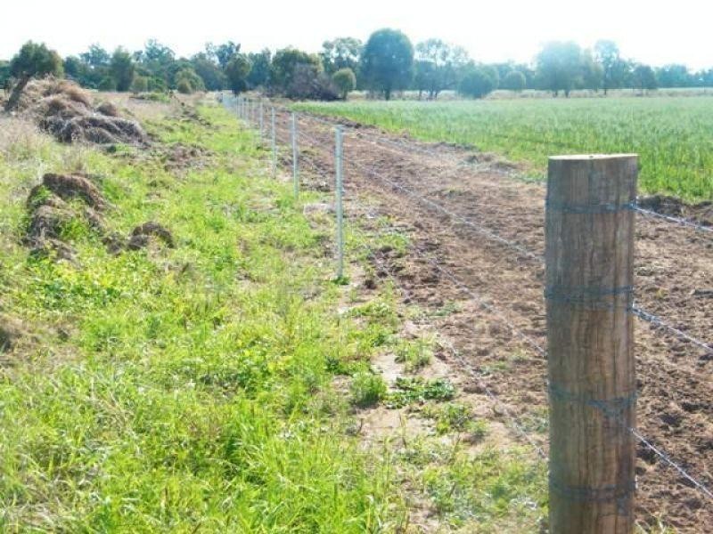 Condamine-Meandarra Road, Condamine QLD 4416