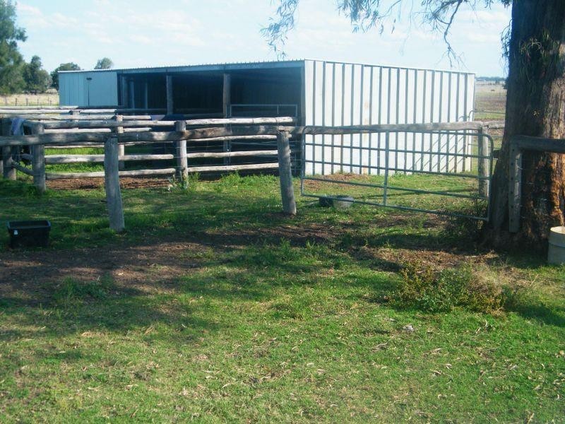 352 Lithgows Road, Chinchilla QLD 4413
