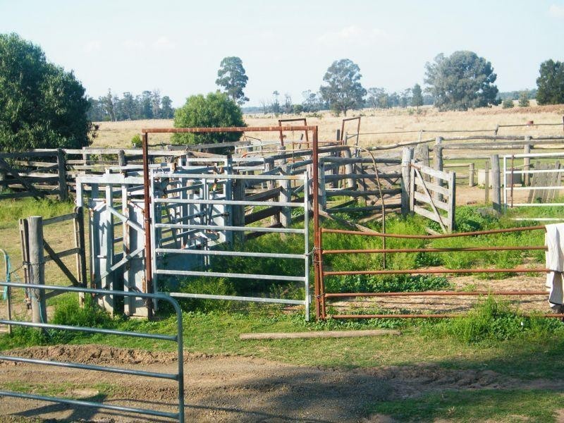 352 Lithgows Road, Chinchilla QLD 4413
