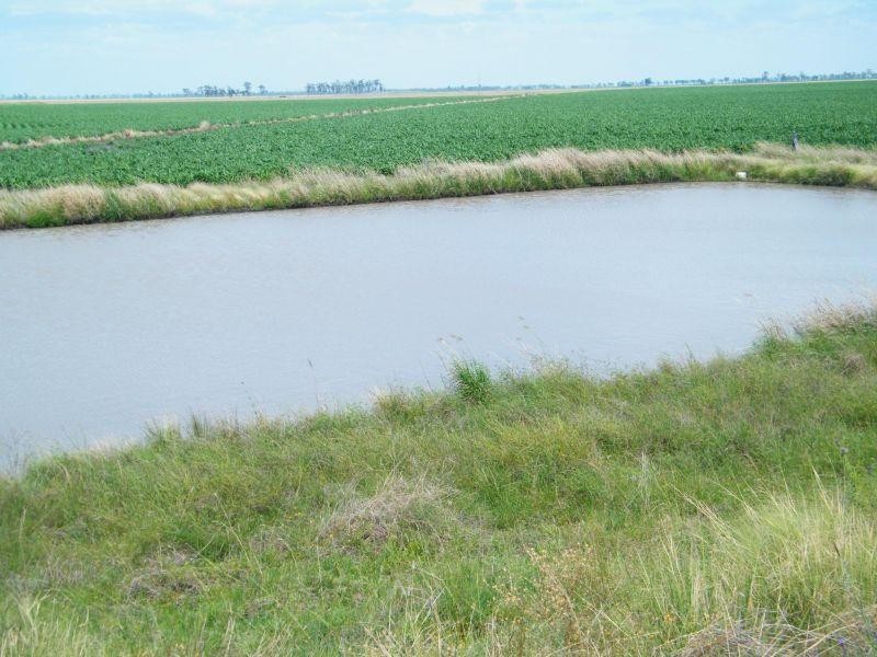 2377 Warra Marnhull Rd, Jandowae QLD 4410