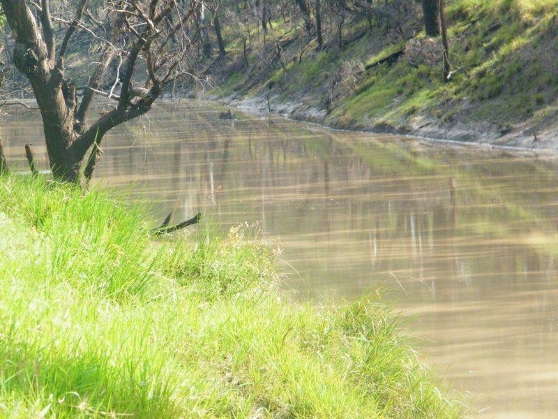 706 Healys Crossing Road, Brigalow QLD 4412